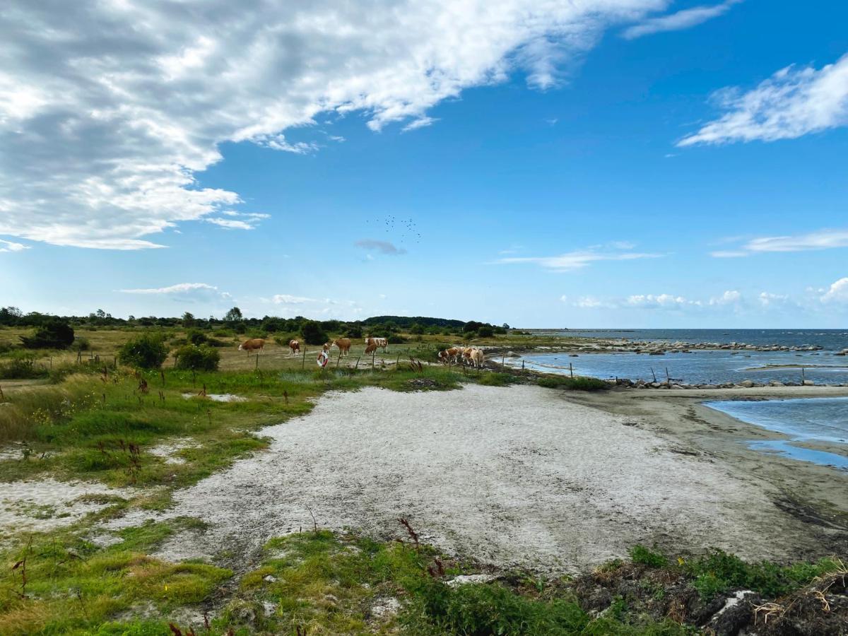 Haelleviks Camping Solvesborg Bagian luar foto